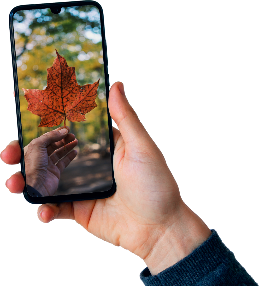 Patent in Canada Patentarea